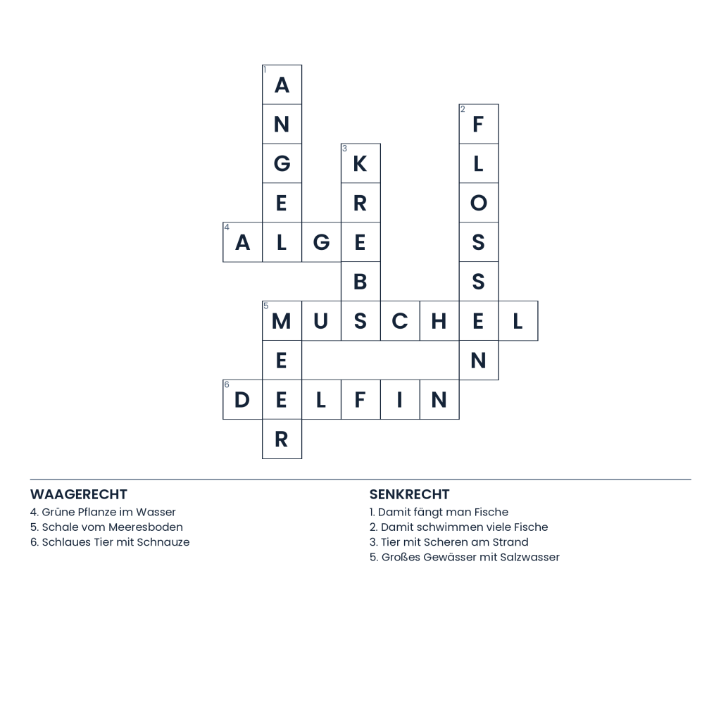 Lösung: Das große Unterwasser-Puzzle