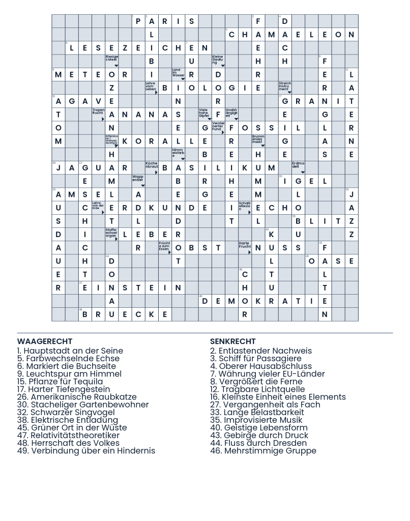 Lösung: Der Wissensstresstest der Querbezüge